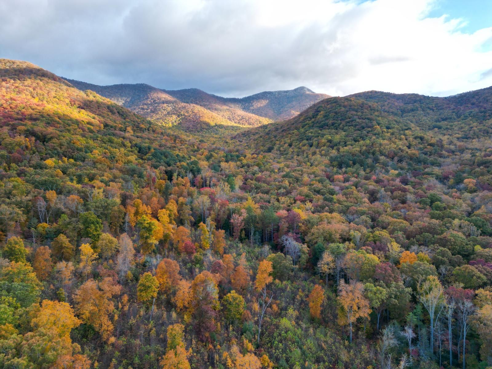 Aerial view of autumn foliage across Blue Ridge mountain ridgelines